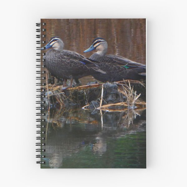 Item preview, Two ducks on the river designed and sold by Andyt.