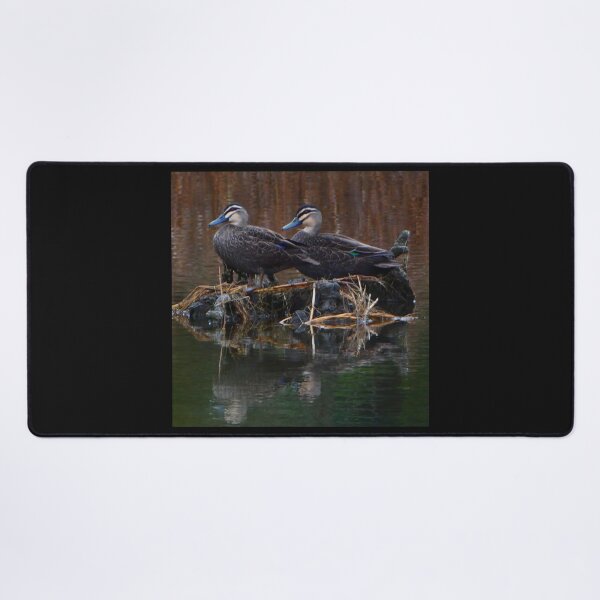 Item preview, Two ducks on the river designed and sold by Andyt.
