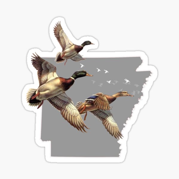 Duck Hunting,Flag,Quack Head,Duck Life,Hunter,Waterfowl,sticker,vinyl decal