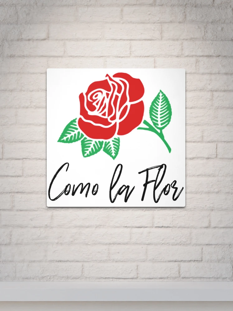 Selena - como la flor - letra by Sofi Materials