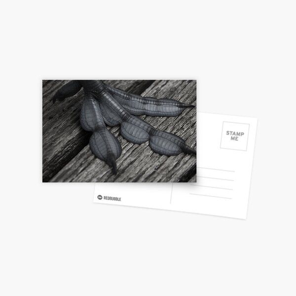 Alien Skin Postcard