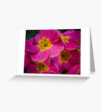 Love That Pink Greeting Card