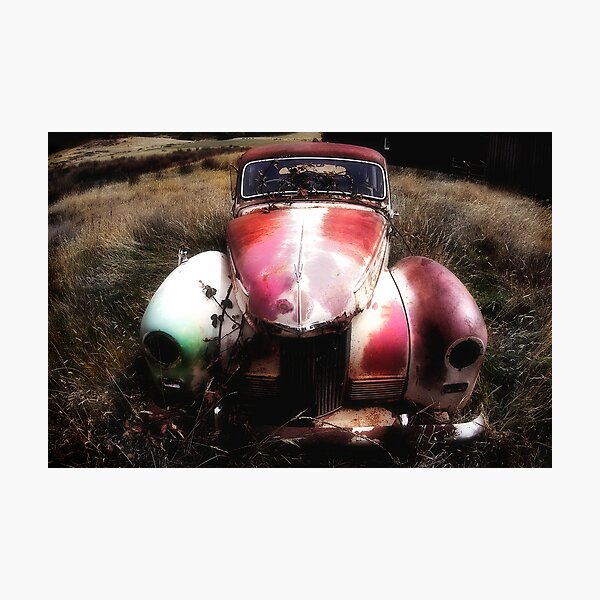 relic Photographic Print