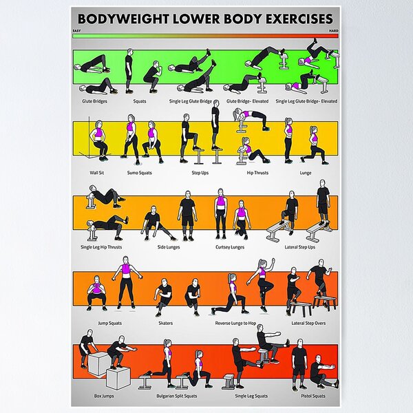 Lower bodyweight workout exercises art Poster for Sale by cevyl49 Redbubble