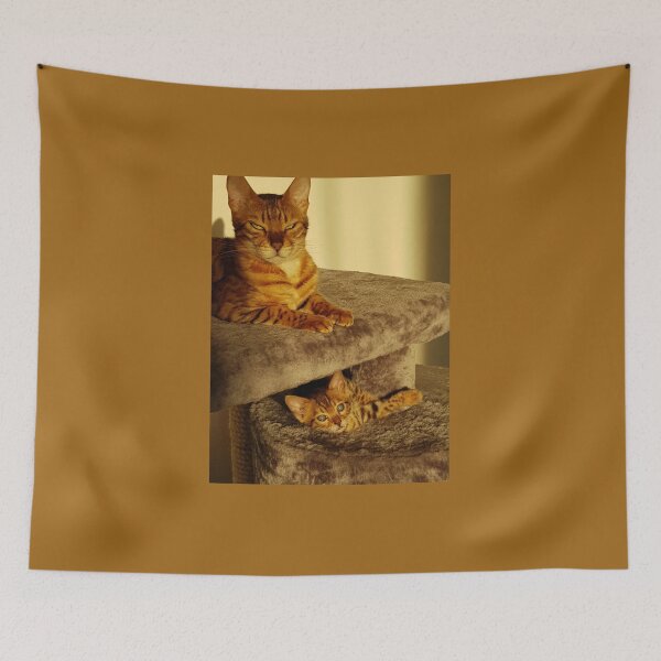 Item preview, cat mom with junior designed and sold by fSocietyAUT.