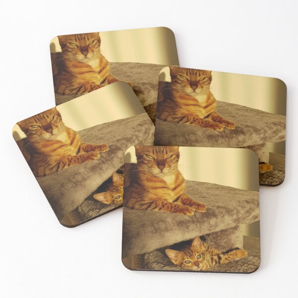 Item preview, cat mom with junior designed and sold by fSocietyAUT.