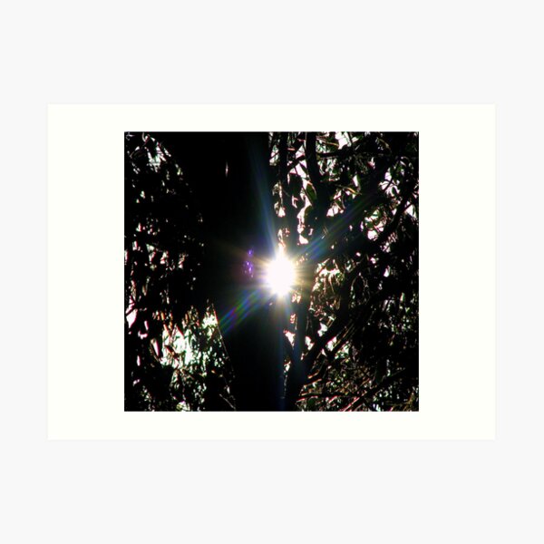 Shadow Surprise Art Print