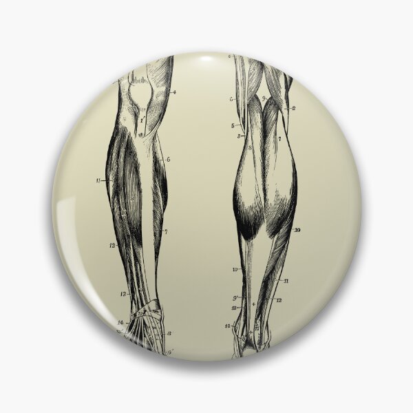 Item preview, Vintage anatomy of the lower limb designed and sold by Preslava Genova.