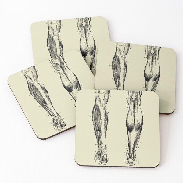Item preview, Vintage anatomy of the lower limb designed and sold by Preslava Genova.