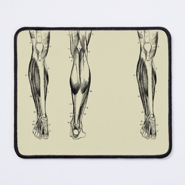 Item preview, Vintage anatomy of the lower limb designed and sold by Preslava Genova.
