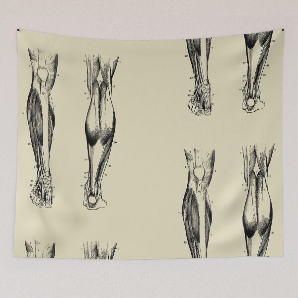 Item preview, Vintage anatomy of the lower limb designed and sold by Preslava Genova.
