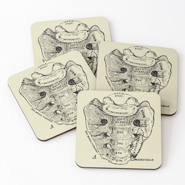 Item preview, Human sacrum bone vintage anatomy  designed and sold by Preslava Genova.