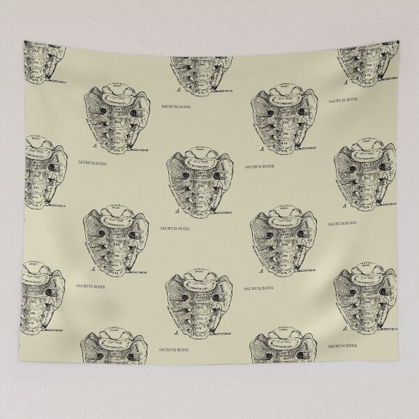 Item preview, Human sacrum bone vintage anatomy  designed and sold by Preslava Genova.
