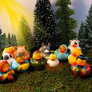 Rubber store duck nativity