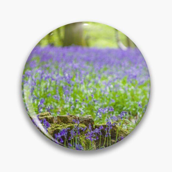 Item preview, Dainty English bluebells and tree stump in woodland designed and sold by CyaniRose.