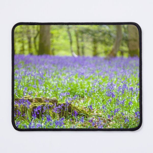 Item preview, Dainty English bluebells and tree stump in woodland designed and sold by CyaniRose.
