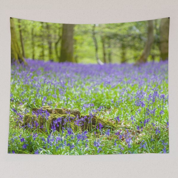 Item preview, Dainty English bluebells and tree stump in woodland designed and sold by CyaniRose.