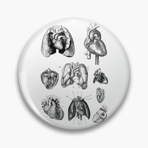 Item preview, Vintage anatomy of the heart  designed and sold by Preslava Genova.