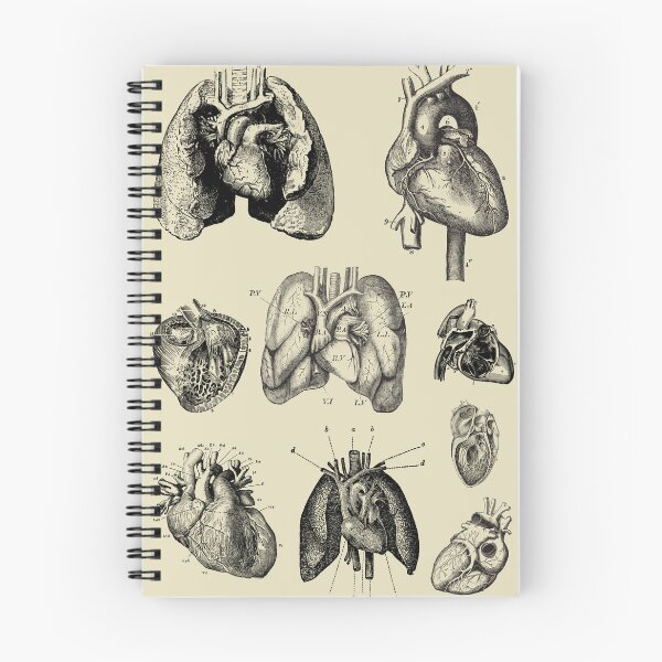 Item preview, Vintage anatomy of the heart  designed and sold by Preslava Genova.