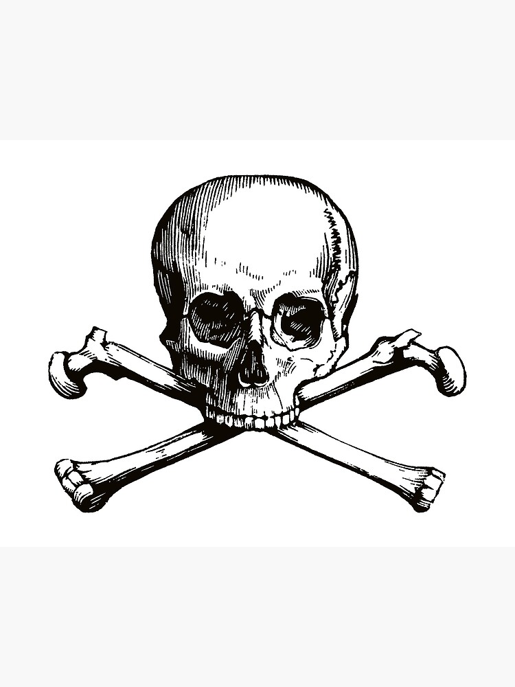 Acheter Drapeau de Pirate Jolly Roger, grand crâne, os croisés, suspendu  avec œillet, sans poteau, 1 pièce