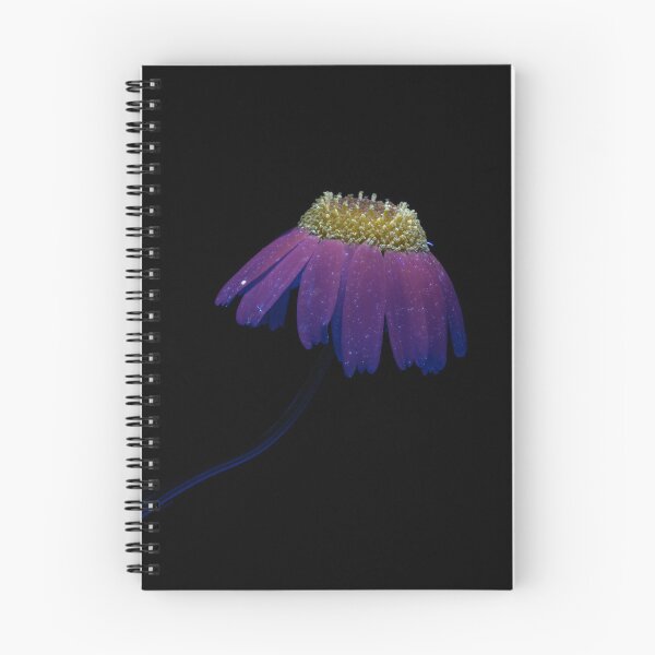 Item preview, Magical Flower designed and sold by Monika Hylmarová.