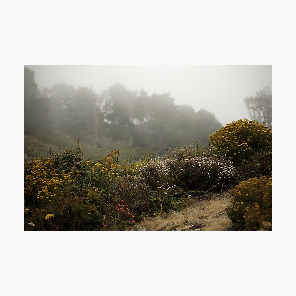 Item preview, Coastal Flowers designed and sold by NewDawnPhoto.