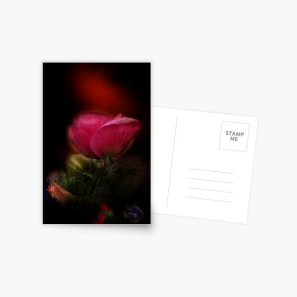 OutOfDarknessAnemome Postcard