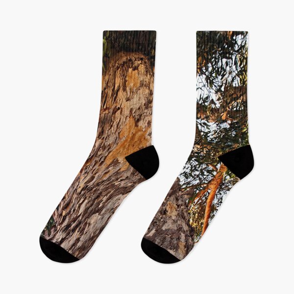 Item preview, One Mighty Tree © designed and sold by © Hany G. Jadaa © Prince John Photography.