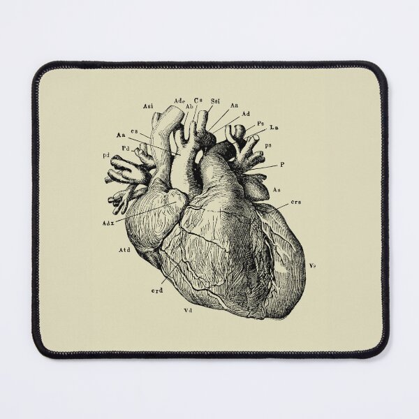 Item preview, Vintage anatomy of the heart  designed and sold by Preslava Genova.