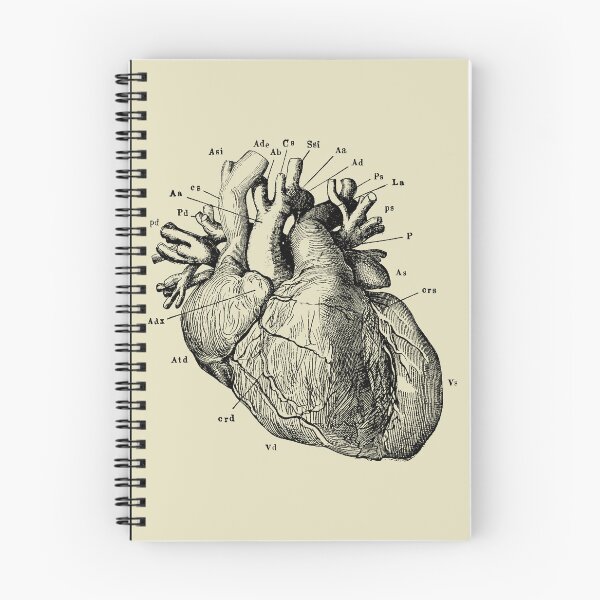 Item preview, Vintage anatomy of the heart  designed and sold by Preslava Genova.