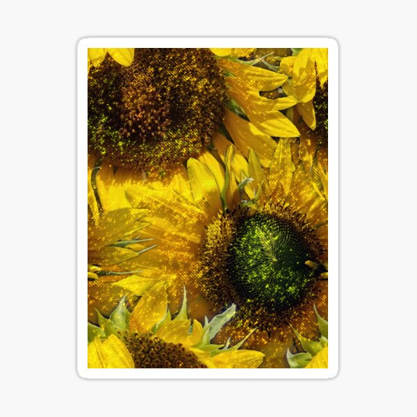 Perfectly Imperfect Lemon Queen Sunflowers From My Garden No. 006 Sticker