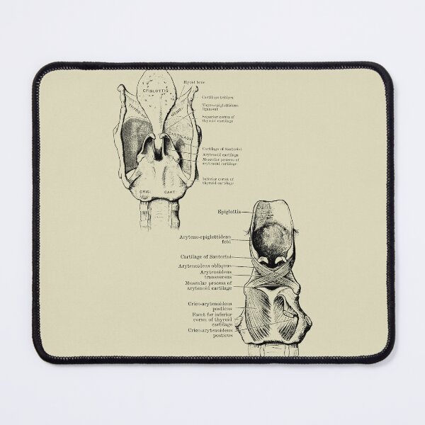 Item preview, Human larynx anatomy  designed and sold by Preslava Genova.