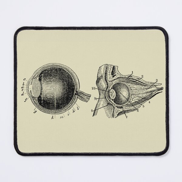 Item preview, Vintage anatomy of the eye  designed and sold by Preslava Genova.