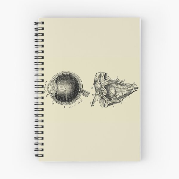 Item preview, Vintage anatomy of the eye  designed and sold by Preslava Genova.