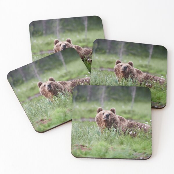 Item preview, What's that smell. Brown bear designed and sold by Jouko Lehto Photography.