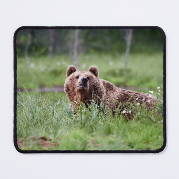 Item preview, What's that smell. Brown bear designed and sold by Jouko Lehto Photography.