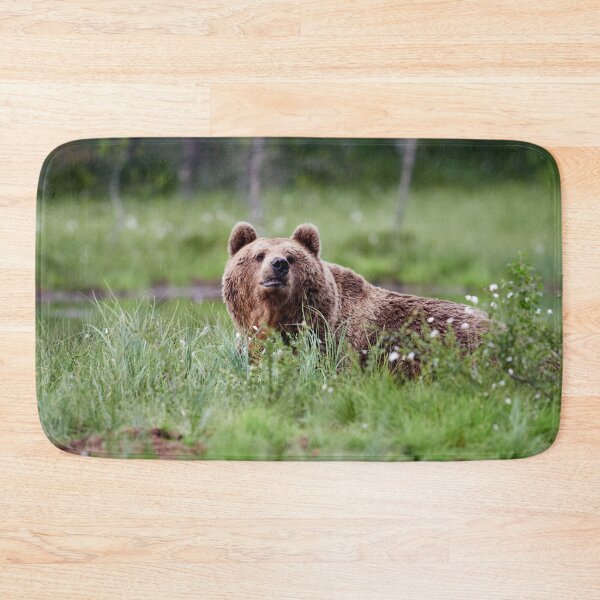Item preview, What's that smell. Brown bear designed and sold by Jouko Lehto Photography.