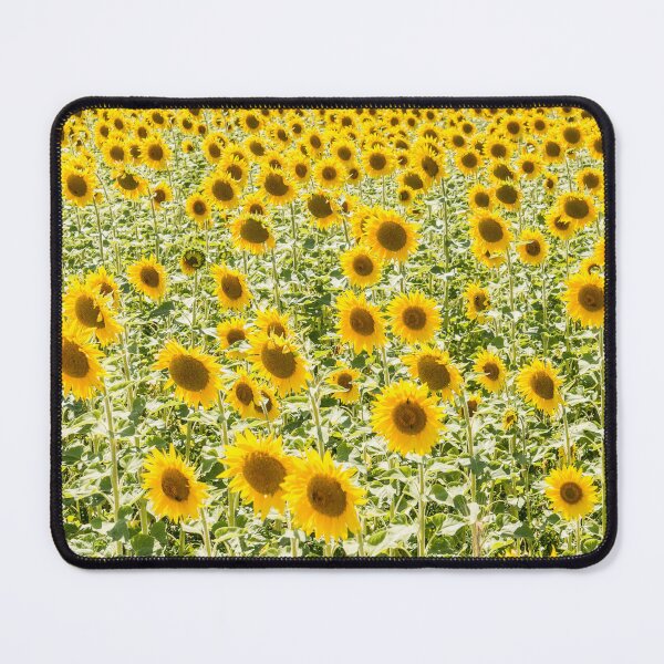 Item preview, Sunflower field, yellow Flowers designed and sold by StohlerPhotos.