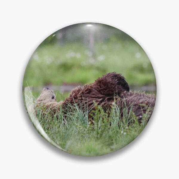 Item preview, Daydreams and mosquitoes. Brown bear designed and sold by Jouko Lehto Photography.