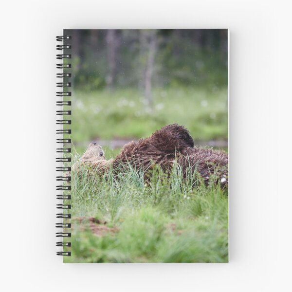 Item preview, Daydreams and mosquitoes. Brown bear designed and sold by Jouko Lehto Photography.
