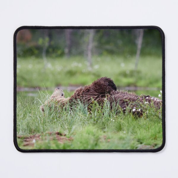 Item preview, Daydreams and mosquitoes. Brown bear designed and sold by Jouko Lehto Photography.