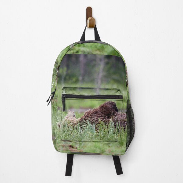 Item preview, Daydreams and mosquitoes. Brown bear designed and sold by Jouko Lehto Photography.