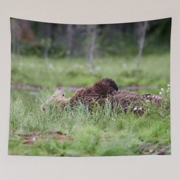 Item preview, Daydreams and mosquitoes. Brown bear designed and sold by Jouko Lehto Photography.