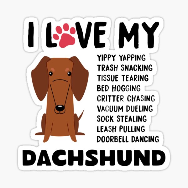 "dachshund" Sticker for Sale by DOGUNIVERSE Redbubble