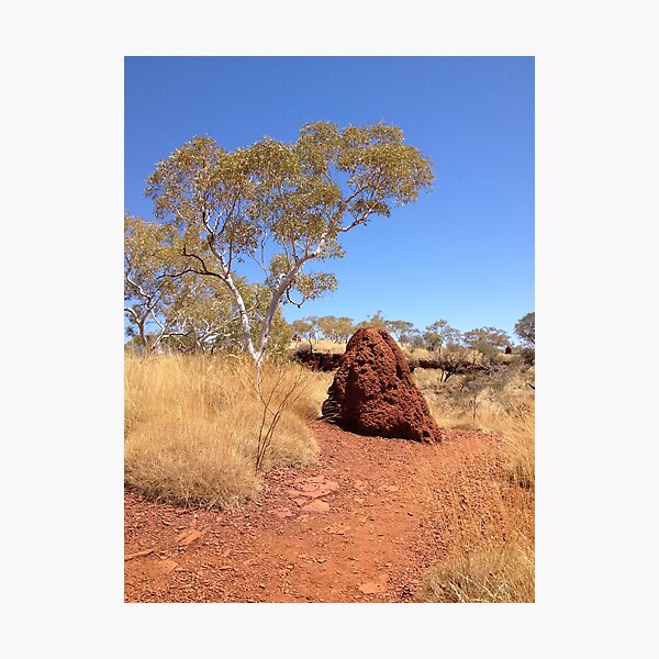 Pilbara - Termites Photographic Print