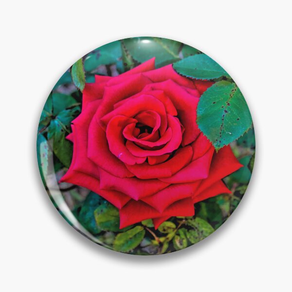 Item preview, Arose to Perfection - Mount Alexander, Victoria designed and sold by Steven Jodoin.