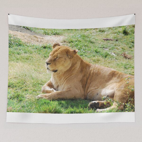 Item preview, Basking designed and sold by Deoarts.