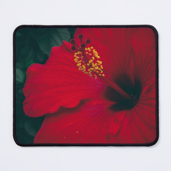 Item preview, Serene designed and sold by akiobsession.