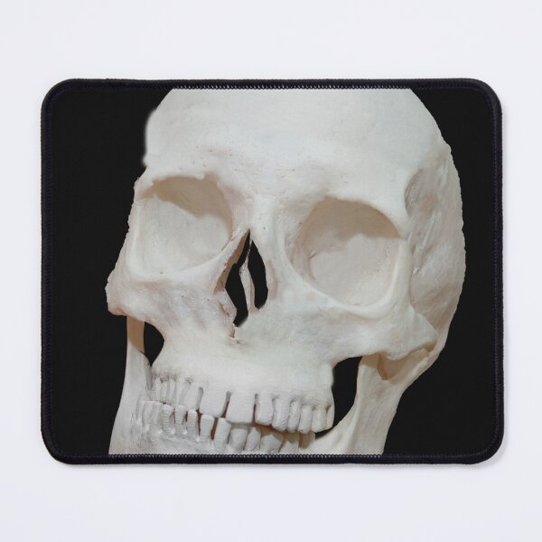 Item preview, Skull designed and sold by Ingo Gerlach.