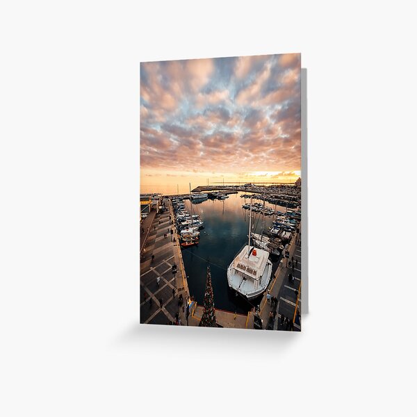 Golden Old Port - Limassol Cyprus Greeting Card